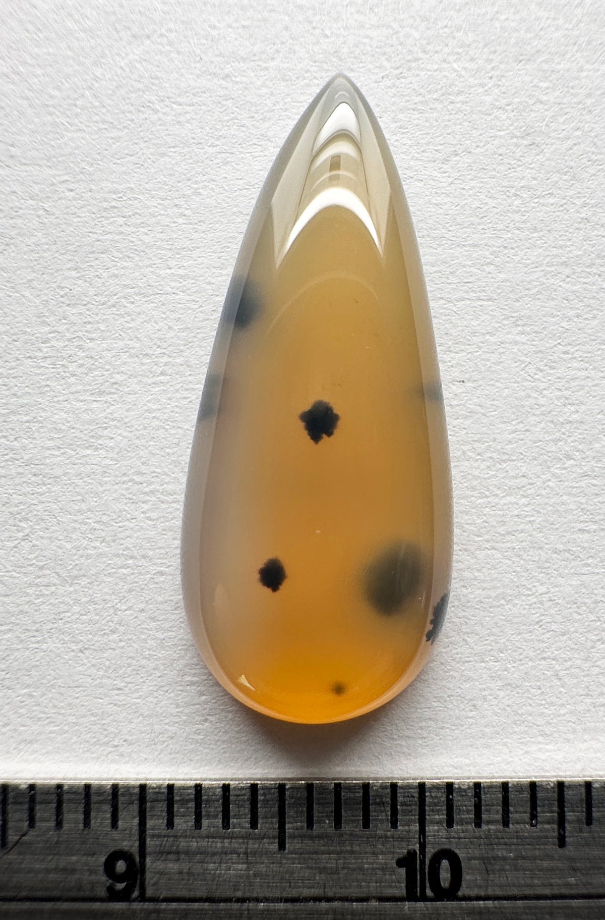 Agate - Natural - Montana - 7ct