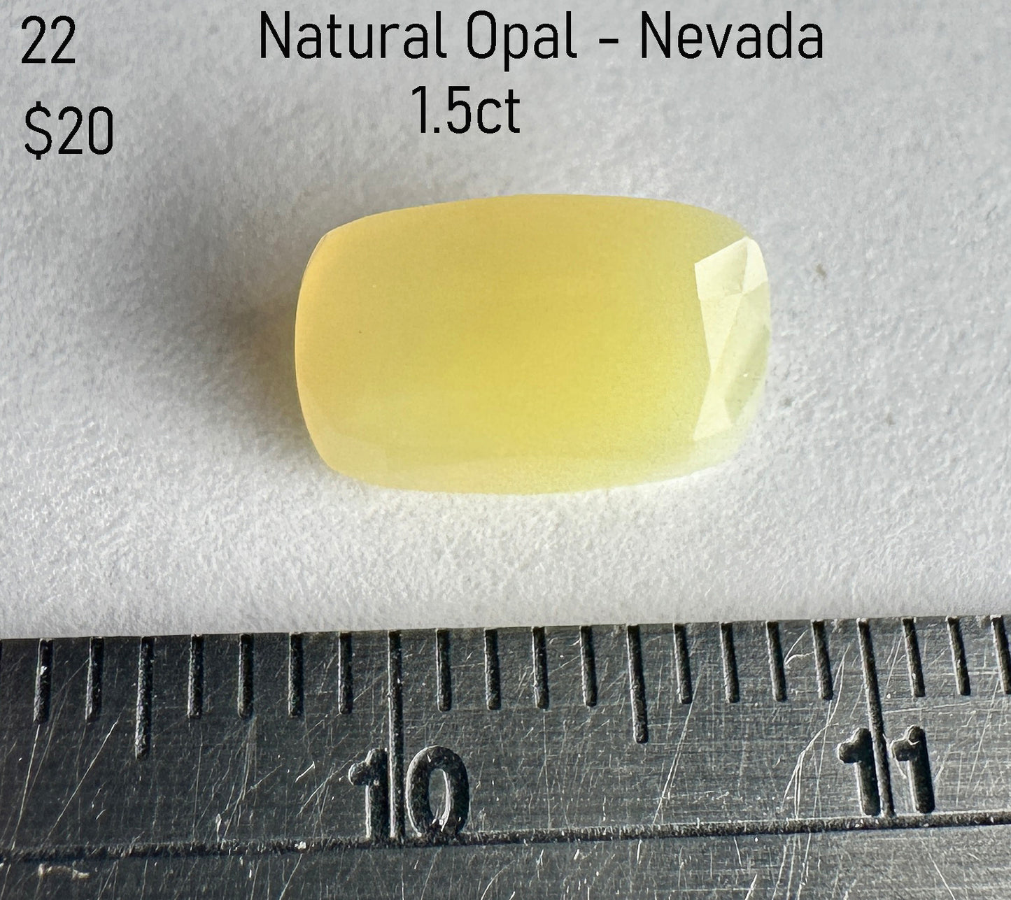 Opal - Natural - Nevada - 1.5ct