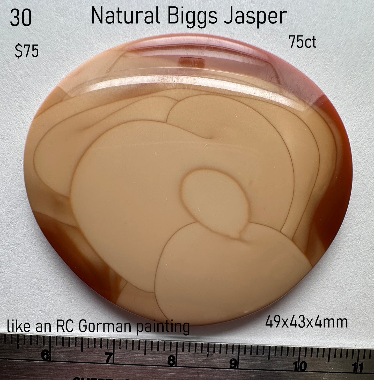 Jasper - Natural - Biggs - Montana - 75ct