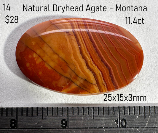 Agate - Natural - Montana - Dryhead - 11.4ct