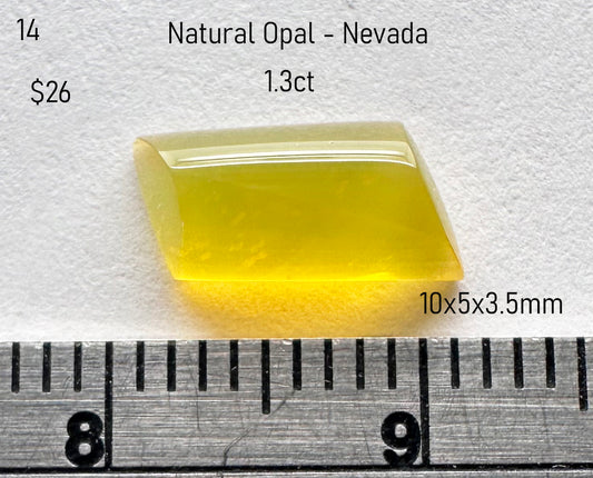 Opal - Natural - Nevada - 1.3ct