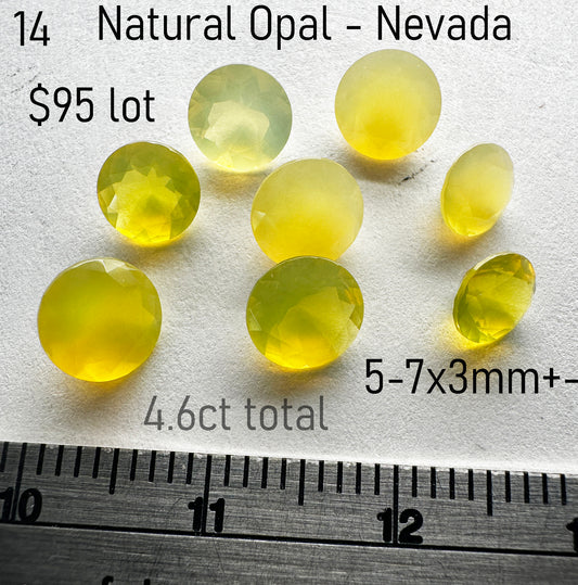 Opal - Natural - Nevada - 4.6ct total