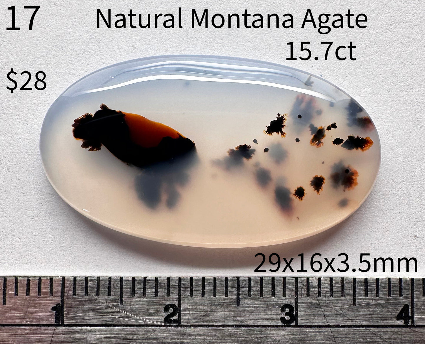 Agate - Natural - Montana - 15.7ct total