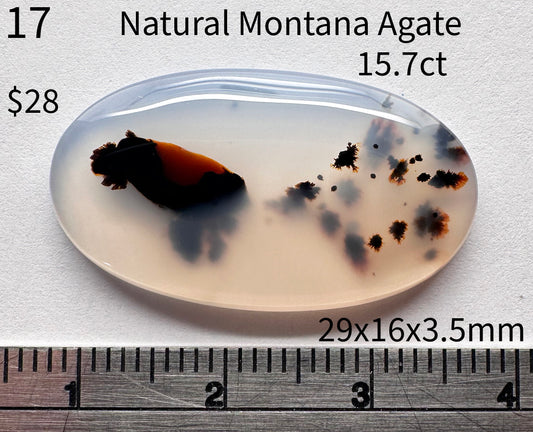 Agate - Natural - Montana - 15.7ct total