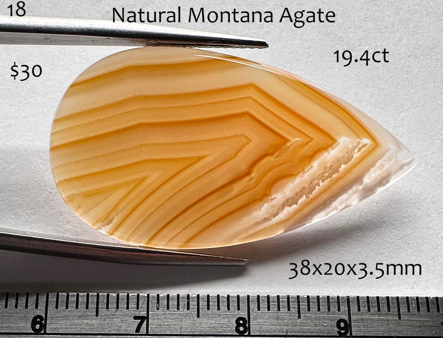 Montana Agate - Natural - Montana - 19.4ct