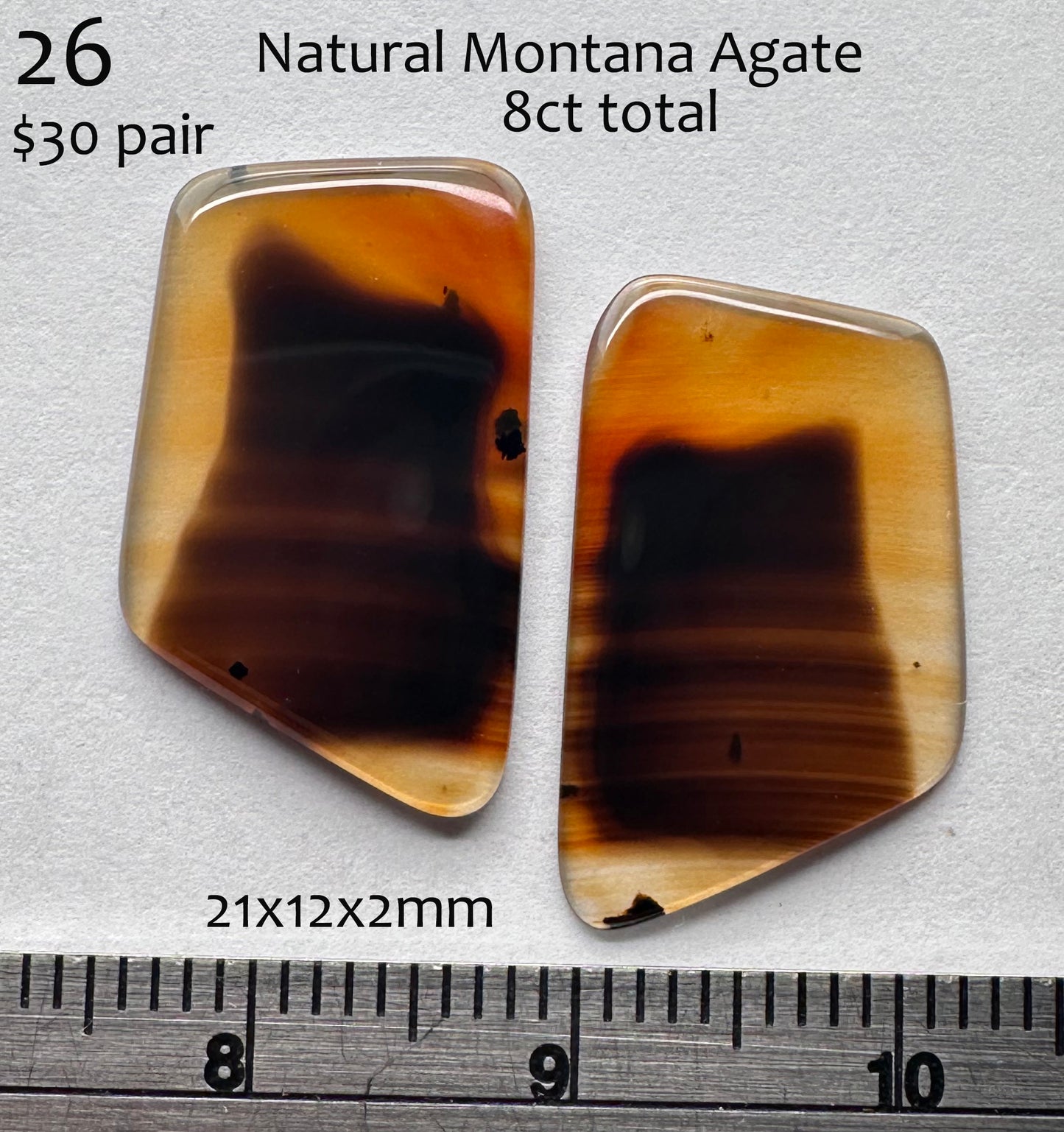 Montana Agate - Natural - Montana  - 8ct total
