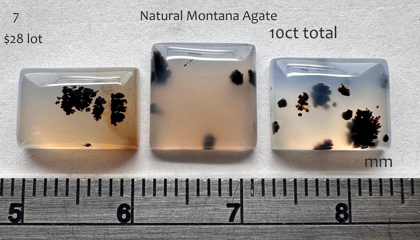Montana Agate - Natural - Montana - 10ct total